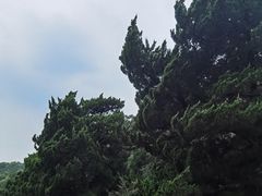 -廖仲恺何香凝墓