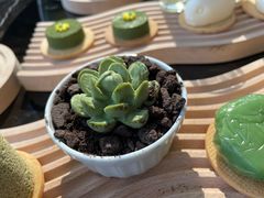 -新都绿城喜来登酒店大堂吧