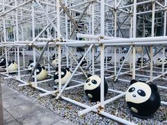 -证大喜玛拉雅中心