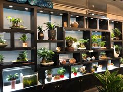 -双季花艺园艺市场(浦东店)