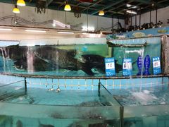 水产区-黄埔华苑酒家(黄埔店)