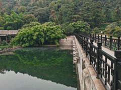 -九龙潭景区
