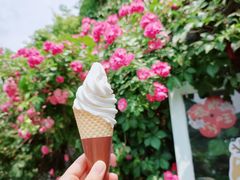 -小时光咖啡馆(北锣鼓巷店)
