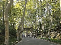 -灵谷景区