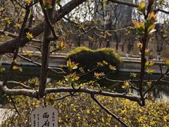 -元大都城垣遗址公园