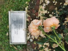 -人民公园(罗湖区)