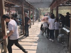 -亲兄弟真人CS团建拓展基地
