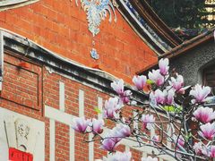 -晋江五店市传统文化旅游区