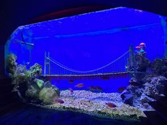 -太平洋海底世界