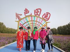 -金塔沙漠胡杨林景区
