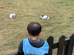 -黄龙溪欢乐田园