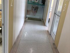 -谐和贝康宠物医院24小时·宠保定点(急重症转诊中心)