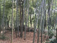 -陶祖圣境风景区