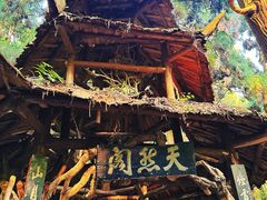 -青城山