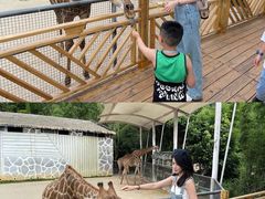 -泉州海丝野生动物世界