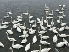 -石岛赤山风景区