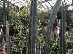 -呀路古热带植物园