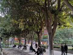 -金砂公园