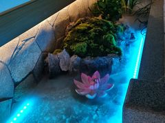 -首秀·四川料理(星耀101店)