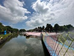 -苏州太湖西山岛开心农场