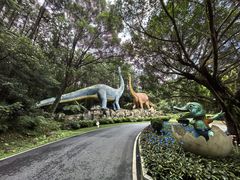 -森波拉奇妙世界