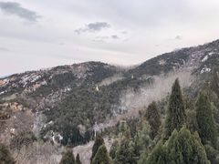 -龙口南山旅游景区