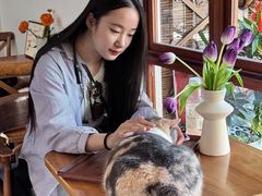 -有猫主题·治愈系猫咖(曾厝垵店)