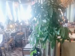 -润园四季椰子鸡火锅(海上世界店)