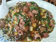 海肠捞饭-鲁前海沿儿