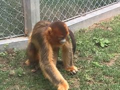 -西安秦岭野生动物园