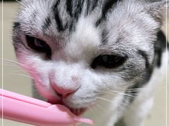 -藏猫猫咖啡主题馆(中央大道店)