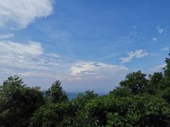 -广州市帽峰山景区