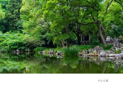 -中山公园