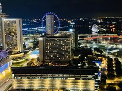 -新加坡瑞士史丹福酒店