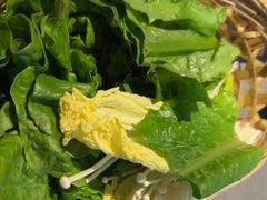 -同仁四季椰子鸡(无锡滨湖万象汇店)