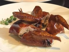 脆皮玻璃乳鸽-甄御•海鲜新青岛菜(麦岛店)