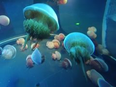 -南昌融创海世界