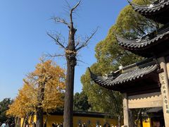 -西园寺素食(西园弄戒幢律寺店)
