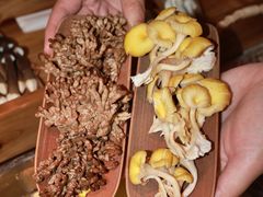 -菌小白·野生菌火锅(时尚天河店)