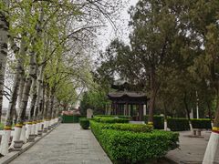 -赵州桥景区