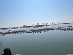 -苏州太湖湖滨国家湿地公园