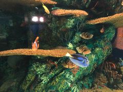 -上海海洋水族馆-停车场