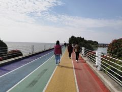 -贡湖湾湿地公园