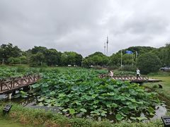 -美兰湖景区