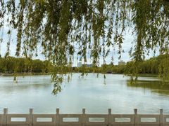 -陶然亭公园