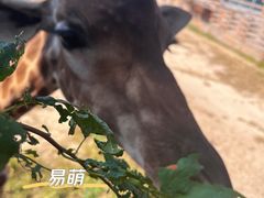 -太原动物园