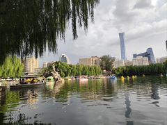 -团结湖公园