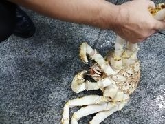 -东江海鲜酒家(艺都分店)