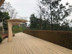 -飞凤山奥体公园