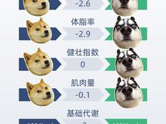 -BOSS健身